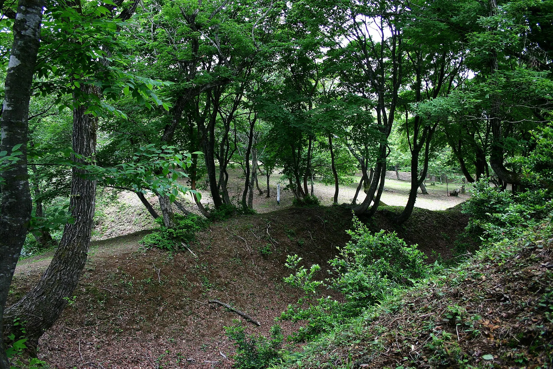 玄蕃尾城