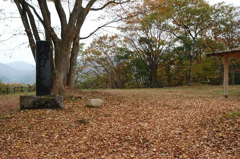 長谷堂城