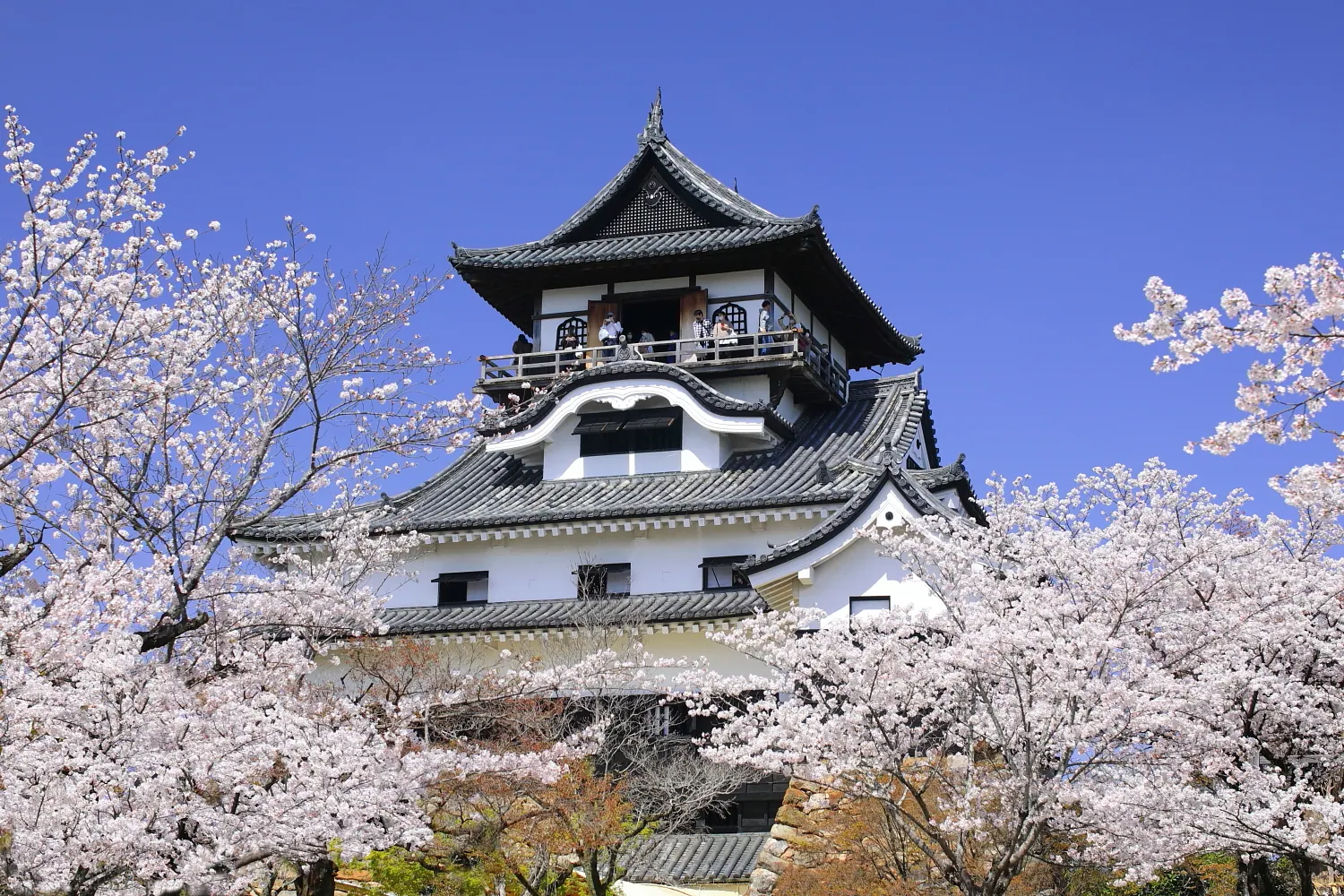 犬山城