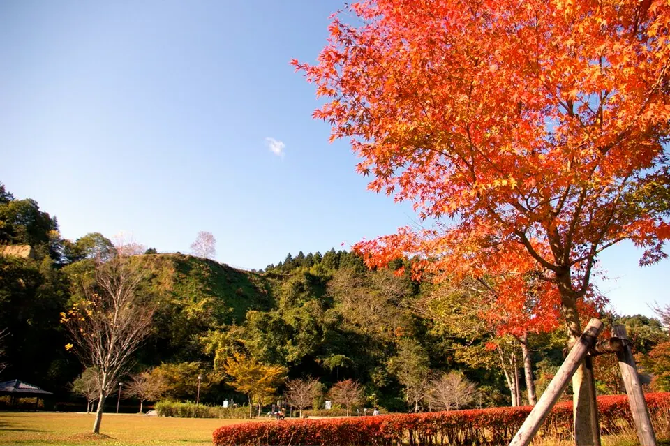 岩出山城
