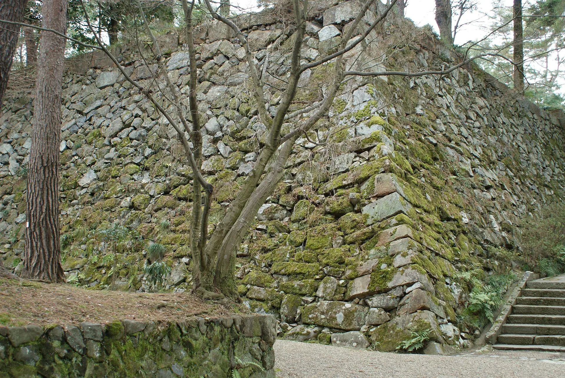 亀山城