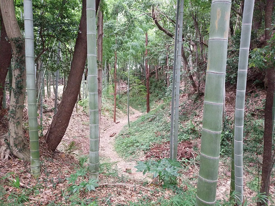 小机城