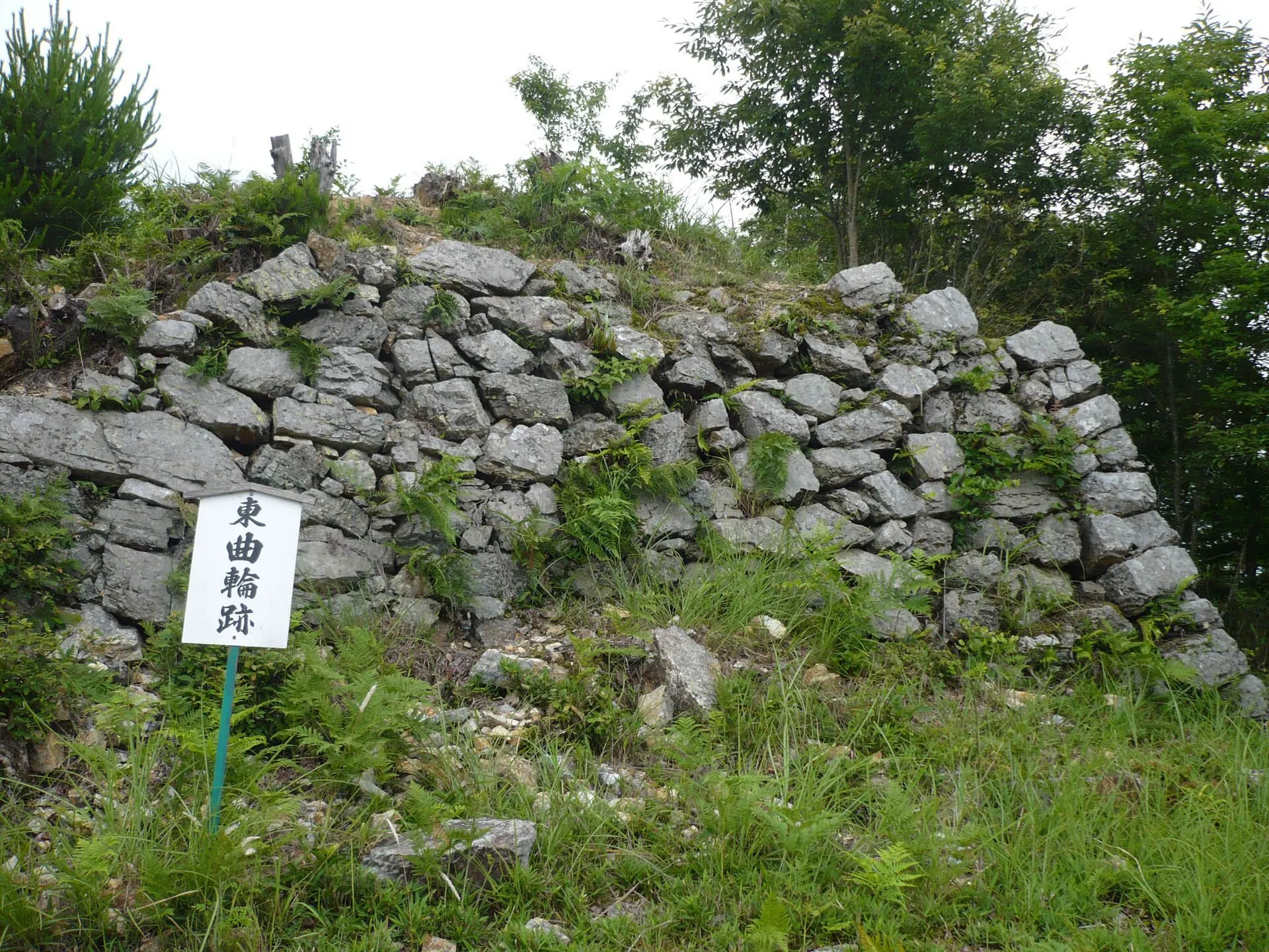 黒井城