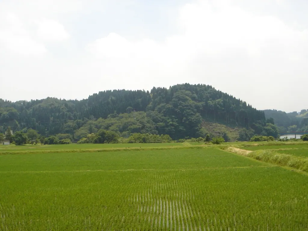 増山城