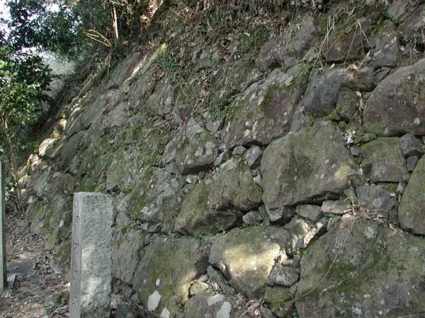 中村城