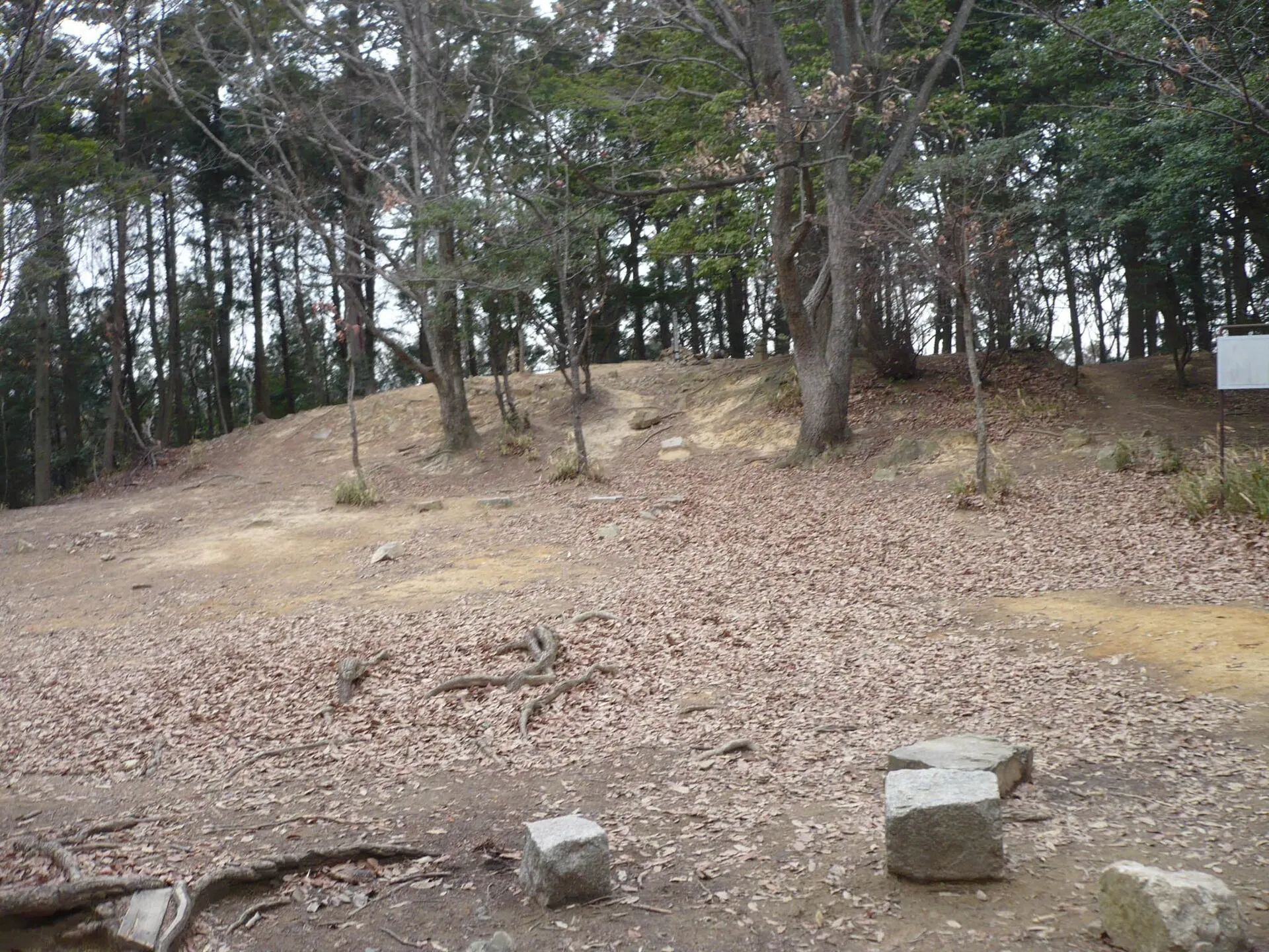 山崎城